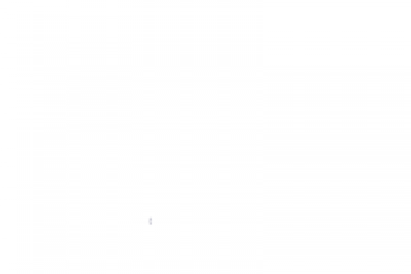 white-background-1A20181B3-89DC-1655-3E76-C4BF16FE4BFF.png